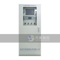 天禹智控TY-8200沼氣在線分析系統(tǒng)